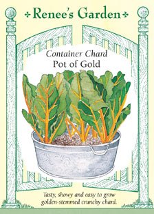 Chard, Container, Pot of Gold Chard, Container, Pot of Gold