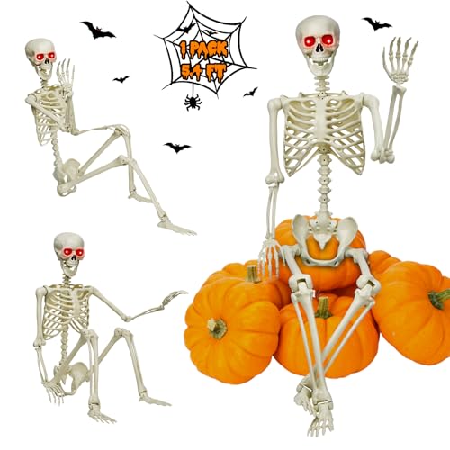 5.4Ft Life-Size Halloween Skeleton Decor - Full Body Realistic Human Bones with Posable Joints, Durable Outdoor/Indoor Poseable Skeleton Prop for Haunted House, Yard, Party Decoration (white, 5.4FT)