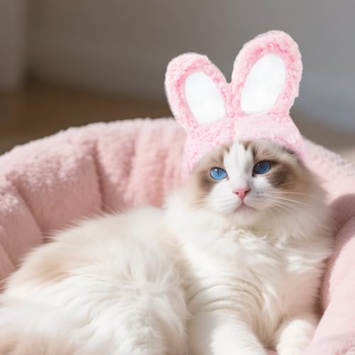 2 Stück Rosa Und Weiß Katze Hasenohren, Hasenohren Hund, Cat Hasenhut, Katzenbekleidung, Haustierhut, Osterkostüm Für Katzen Und Kleine Hunde