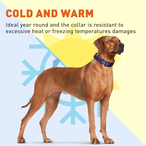 Image of Dogline Biothane Waterproof Dog Collar Strong Coated Nylon Webbing with Black Hardware Odor- Proof for Easy Care Easy to Clean High Performance Fits Small Medium or Large Dogs, Violet Purple