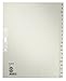 Produktbild Leitz 12010085 Alphabetic Tab Index Papier-Trennblätter grau  Trennblätter für Ordner (Alphabetic Tab, Papier, grau, 100 g/m², 240 mm, 30 cm)