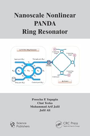 Nanoscale Nonlinear PANDA Ring Resonator Nanoscale Nonlinear PANDA Ring Resonator book cover