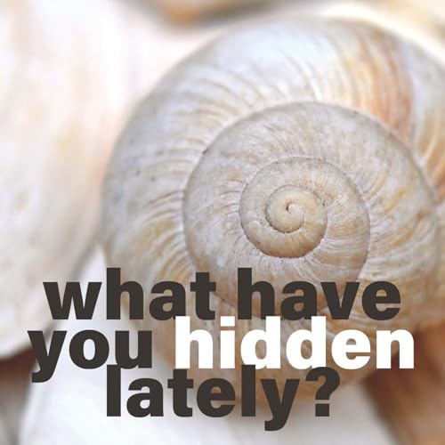 『What Have You Hidden Lately?』のカバーアート