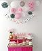 Kubert Baby Shower Decorations 15pcs Pink Grey White Party Decoration Kit Tissue Paper Pom Pom Honeycomb Ball for Bridal Shower Girls' Birthday Wedding Birthday Party Decorations Pink