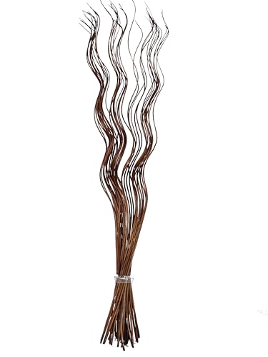 Homestreet Ramitas Altas de Sauce Rizado en Espiral, Coloridas Metálicas Naturales Secas Teñidas Exóticas, Ting Decoración del Hogar Arreglo Floral Display, Ramo de 40 Piezas, 120cm de Largo para