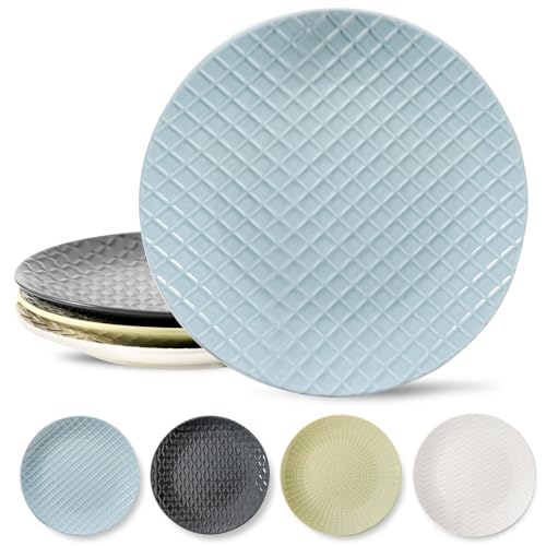 HASENSE Dinner Plates, 10 Inch Ceramic Dishes Set of 4 for Kitchen, Embossed Porcelain Plates for Restaurant, Microwave Oven and Dishwasher Safe, Colorful