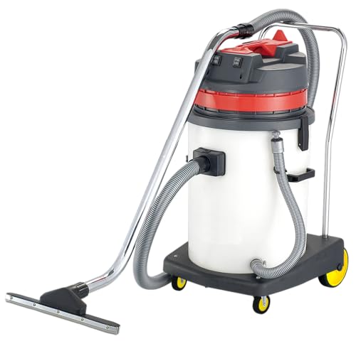 Phoenix – Aspirador de Agua y Polvo, 60 L, Aspirador astillero Potente 2000 W, Tanque de plástico, Accesorios incluidos Cable de 7 m, 2 Motores