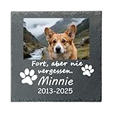 Umitive Individueller Grabstein für Haustiere - Personalisierte Gedenktafel mit Foto & Name - Hundegrab, Tierfriedhof Dekoration - Erinnerungsgeschenk für verstorbene Tiere (Style E)