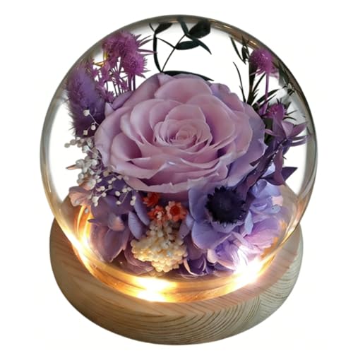 Cúpula de cristal de flores preservadas, ramo de rosas eternas reales con luz LED, 4.3 x 4.3 pulgadas, decoración única de arte floral, regalo para novia, esposa, hija, mamá, abuela en cumpleaños