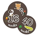 96 mm x 96 mm Pregnancy Belly Photo Aussie Animals Scrapbook Label Stickers
