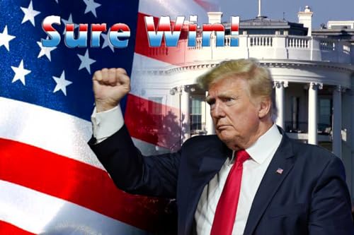 ROSTITCH Pre-Printed Cross Stitch Kit, 11ct Patriotic American Flag Design, Stamped Pattern for Home Decor