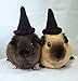 Crochet Witch Hats for Guinea Pigs, Bunnies, Hamsters, Chinchillas, Cats, and Other Small Pets I Guinea Pig Small Pet Costume
