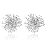 Coiris Exaggerated Flower Dangle Earrings for Women Silver Tassel Exploding Fireworks Earrings Fashion Jewelry for Women（ER1224-Silver）
