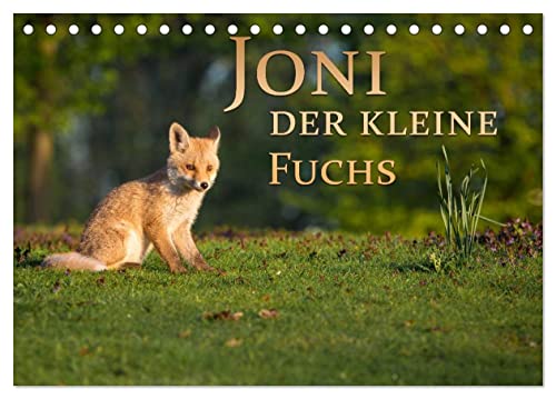 Produkt Bild Nr. 9