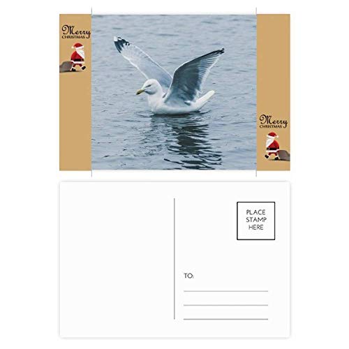 Cartes postales de remerciement océan pour écrire vos vœux de mariage sur la plage