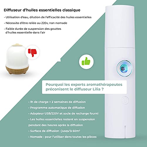 Innobiz Difusor LiliaInnobiz. 1 Unidad 250 g