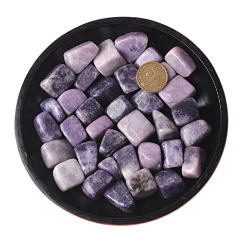 Image of 1 /2LB Large Lepidolite Lithium Mica Tumbled Stone Specimen Collection Pocket Worry Healing Crystal