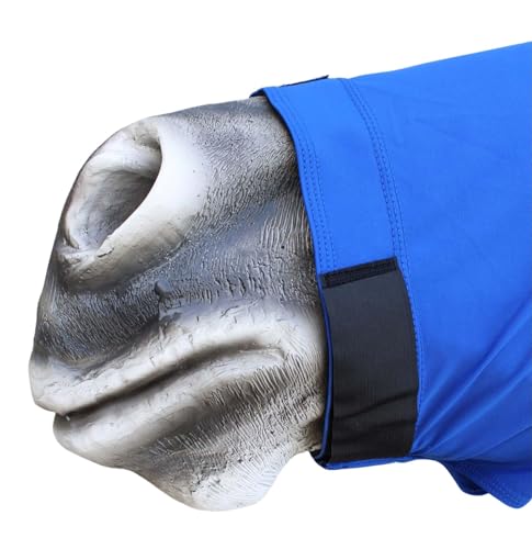 Image of L Horse Comfort Stretch Neck Hood Royal Blue 521MW04RB