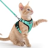 rabbitgoo Arnes para Gatos Antiescape con Correa 150cm, Arnes Gato Ajustable Reflectante, Chaleco de Tela de Malla Suave y Transpirable, Arnés Gato Pequeño para Caminar Entrenar, XXS, Verde