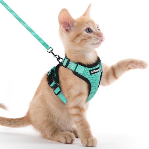 Image of rabbitgoo Cat Harness and Leash Set, Escape Proof Vest, Emerald