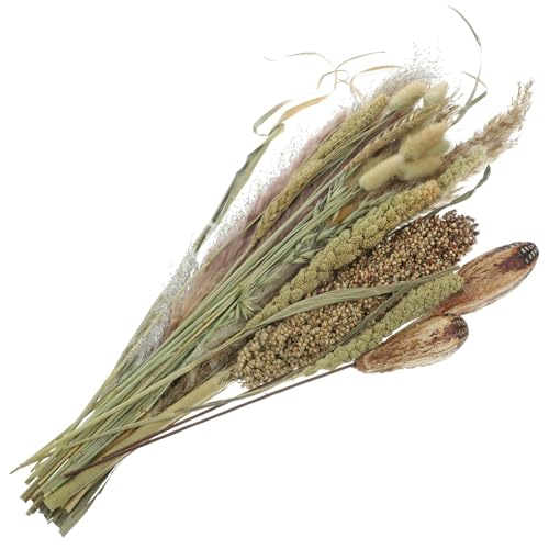 Ramo decorativo de pasto pampas seco natural miniatura 1
