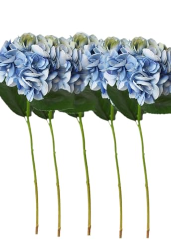 GL]`bNȃhCt[u[P19 "tFCNAWTCsA5PCSu[Ppz[EFfBOe[ũZ^[s[Xz[p\tgu[lHA