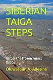 SIBERIAN TAIGA STEPS: Across the Frozen Forest Roads