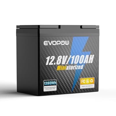 12V 100Ah Mini LiFePO4 Lithium Battery, Built-in 100A BMS, Up to 15000 Cycles with 10-Year Lifespan, 1280Wh Energy LiFePO4 Battery in Small Size, Perfect for RV, Solar, Marine and Home Energy Storage