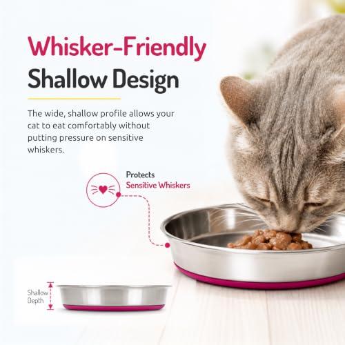 Image of Pet Empire Stainless Steel Cat Silicone Base Bowl for Cats & Puppies | Bowl for Water and Food (200 ML)