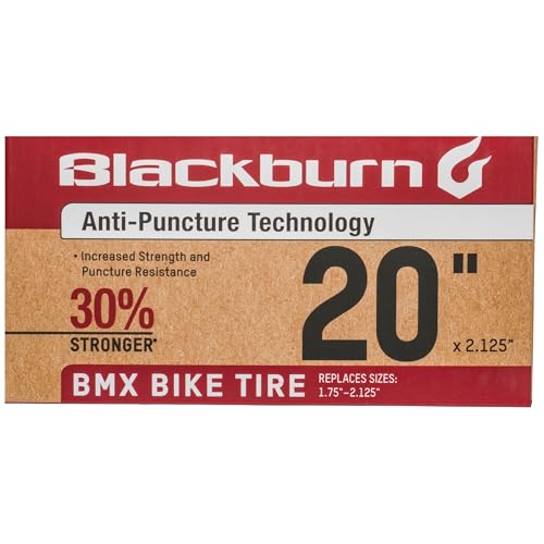 Blackburn 20