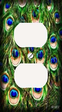 Peacock Feathers Print Outlet Cover