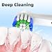 Toothbrush Heads Compatible with Oral B Braun Electric Toothbrushes