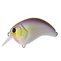 deps イヴォーク1.2 9個セット deps イヴォーク1.2 9個セット EVOKE | deps OFFICIAL HP