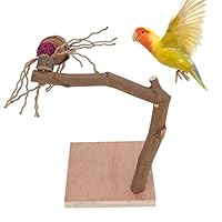 Vogel Natur Freisitz Sitzstangen mit Basis, Schreibtisch Holz Wellensittich Spielplatz, Vogelkäfig Papageien Barsch Klettern Stehend Spielzeug Stangen für Nymphensittich Sittich