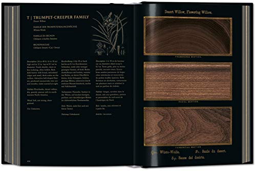 Romeyn B. Hough. the Woodbook. the Complete Plates