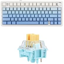 EPOMAKER x Aula F75 Gasket Mechanical Keyboard+35 Pieces Sea Salt Silent Mechanical Keyboard Switches Set