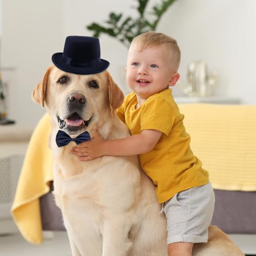 Disfraz formal para perro con sombrero y moño negro miniatura 2