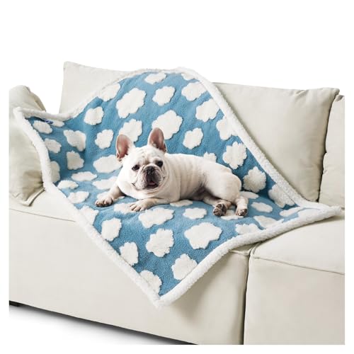 ybg uPbg  h}bg L ѕz _炩 h g WJ[hn Rh~ \t@[ی ې ֗ JԂg ^/^/Lp 100*130cm