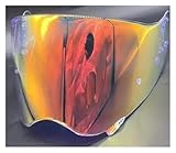  EVURU Helmlinsen-Visier-Ersatz Für SH&OE&I Ho&rn&et ADV Helmlinsenschild Windschutzscheibe Motorradhelmzubehör Motorradhelmvisier(Orange)