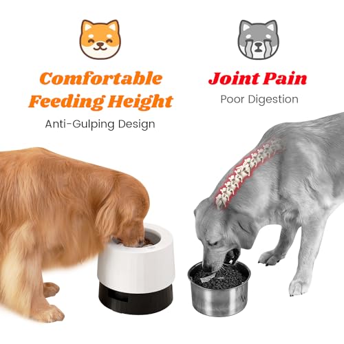Pawque-Raised-Dog-Food-Water-Bowls