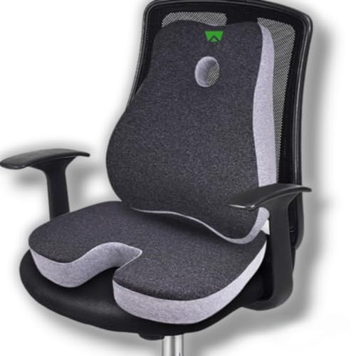 Well Alley Lumbar Support Pillow and Seat cushion - Ergonomic Memory Foam Back Rest Cushion for Office Chair, Gaming Chair, Car Seat - Back Pain Relief and Comfort (Lumbar rest and Seat Cushion)