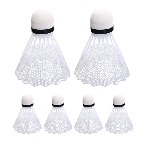 Flyses Badminton - Set da 6 Pezzi per l'allenamento principiante con Volante Stabile e Durevole, per Uomini Giovani Giocatori, da Badminton per Uso Intero