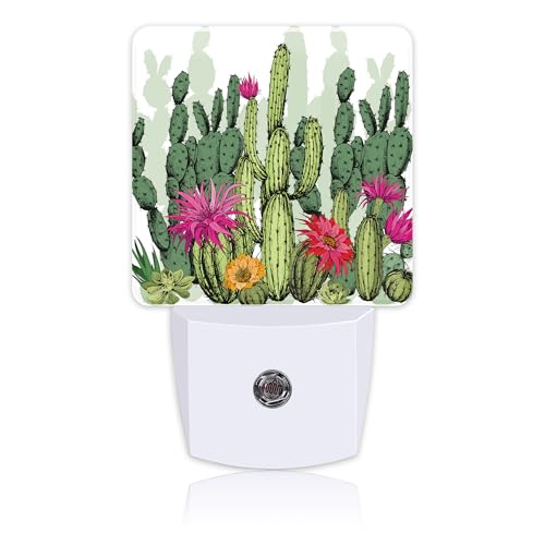 Image of Green Succulents and Cactus Plants Night Light Plug into Wall with Dusk to Dawn Sensor Cute Nightlight for Kid Girls Boys Women Men Room Decor, Hallway, Kitchen, Bathroom, Nursery, Stairs