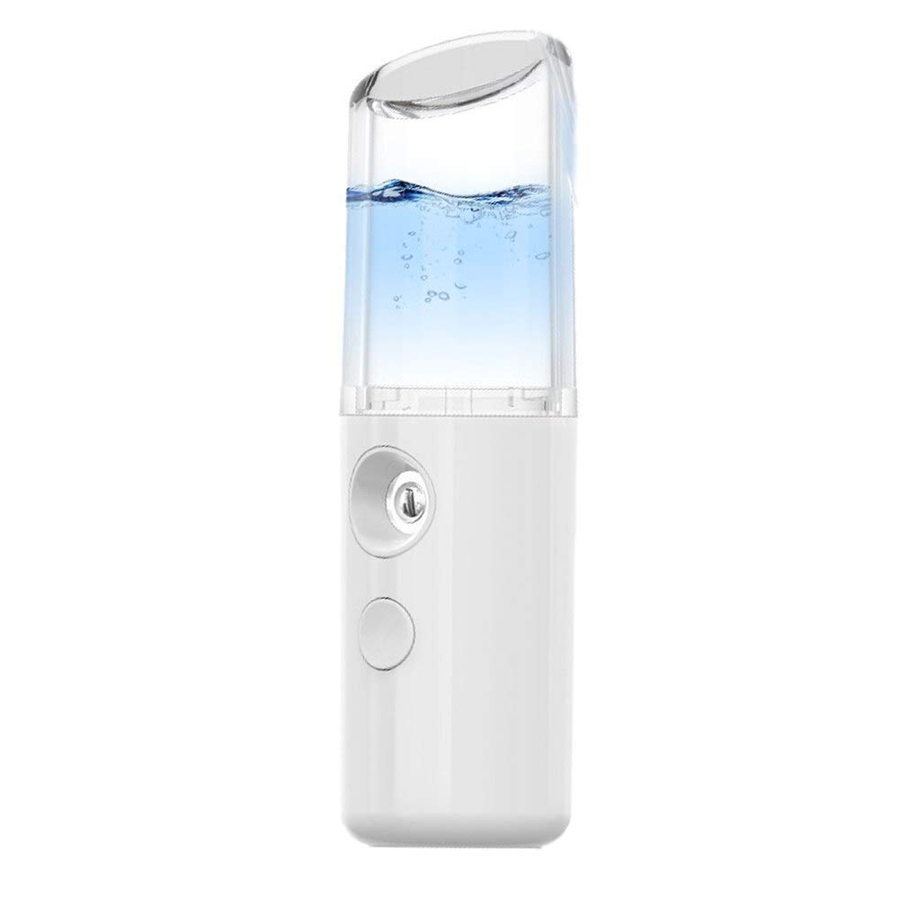 Delhi Gift House Pocket-Sized Nano Sanitizer Steamer Mist Spray for Car, Currency, Mobile, Remote Products, Hand (White) (B089G3L9FT) Amazon Price History, Amazon Price Tracker