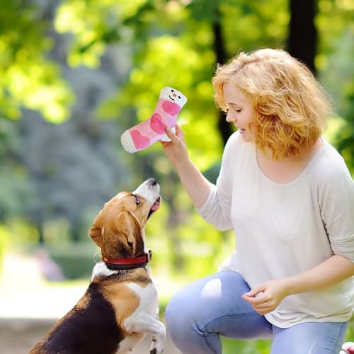 Hundespielzeug, bissfest, Sockenform, Haustierzubehör, Hunde- Beißring, Reinigungsspielzeug, für Innenbereich, Strand, Rasen, Garten, Outdoor, Zuhause, Park, Spaziergänge-9