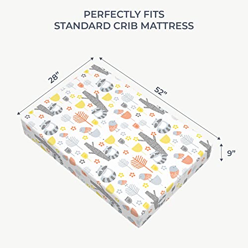 image for Pickle & Pumpkin Premium Organic Crib Sheet | 2 Pack 100% Organic Jers