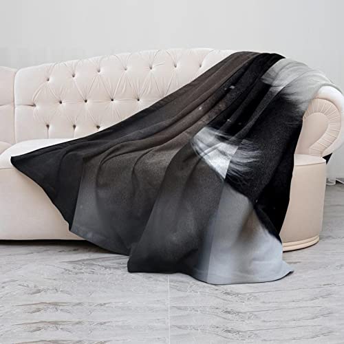 Couverture en peluche Border Collie plaid sieste microfibre chaude douce - 5