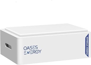 LiFePO4 48V 100Ah Lithium Batterie, Eingebautes 100A Smart BMS, 5120Wh Akku for RV, Speicher solaranlage, Energiespeicher für Zuhause, solarspeicher, Boot,Camping