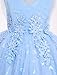 IDOPIP Flower Girl Sequin Butterfly Dress for Kids Baby Wedding Bridesmaid Pageant Party Formal Lace Gown Toddler Princess Birthday Communion Prom Handkerchief Puffy Tulle Dresses Blue 12-18 Months