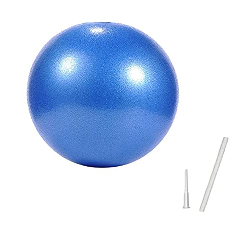 DHXYZZB Myonly Pilates Ball, Exercise Balls, Barre Ball, Mini Exercise Ball with Pump, Small Bender Ball for Stability, Barre, Pilates, Yoga, Deep Tissue Massage, Core Training and Physical Therapy